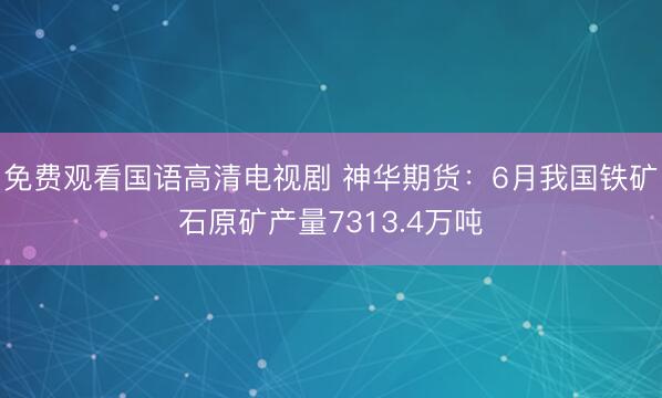 免费观看国语高清电视剧 神华期货：6月我国铁矿石原矿产量7313.4万吨