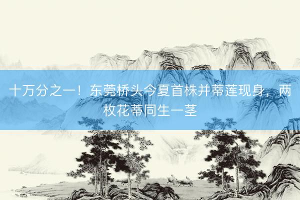 十万分之一！东莞桥头今夏首株并蒂莲现身，两枚花蒂同生一茎