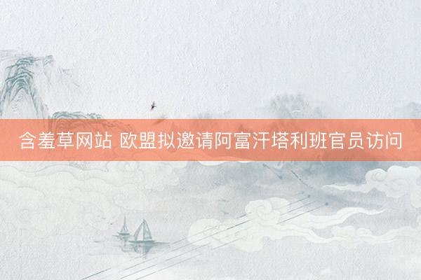含羞草网站 欧盟拟邀请阿富汗塔利班官员访问