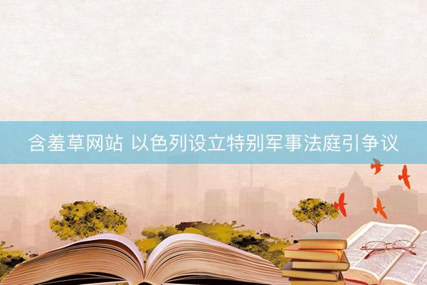 含羞草网站 以色列设立特别军事法庭引争议