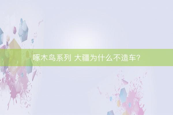 啄木鸟系列 大疆为什么不造车？