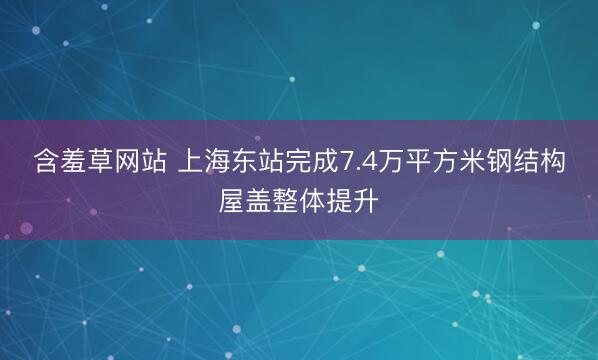 含羞草网站 上海东站完成7.4万平方米钢结构屋盖整体提升