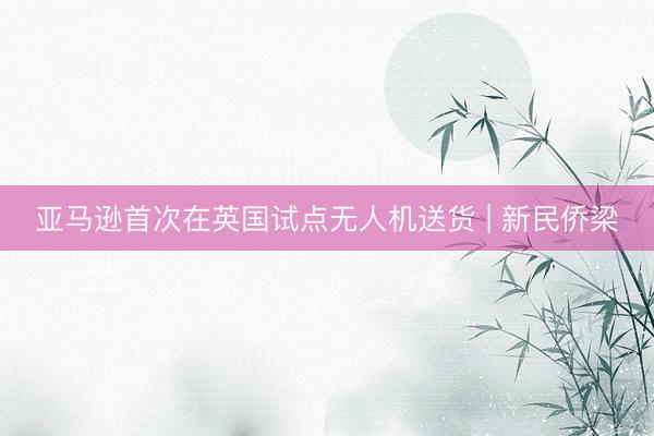 亚马逊首次在英国试点无人机送货 | 新民侨梁