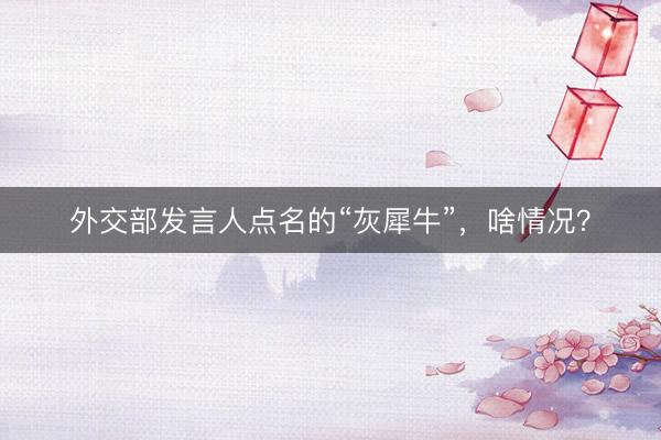外交部发言人点名的“灰犀牛”，啥情况？