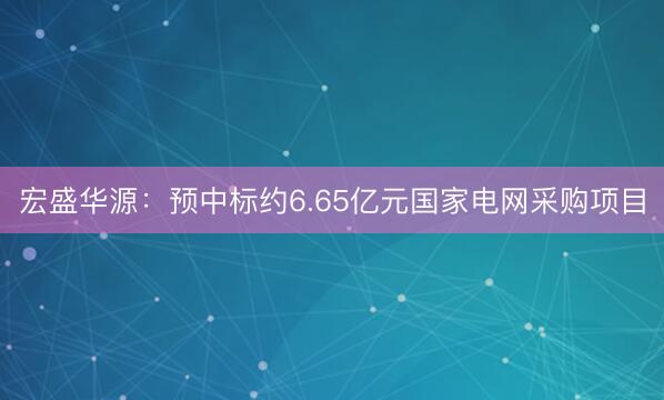 宏盛华源：预中标约6.65亿元国家电网采购项目