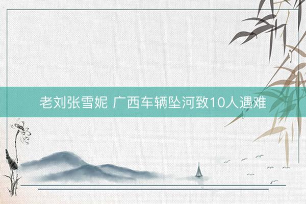 老刘张雪妮 广西车辆坠河致10人遇难