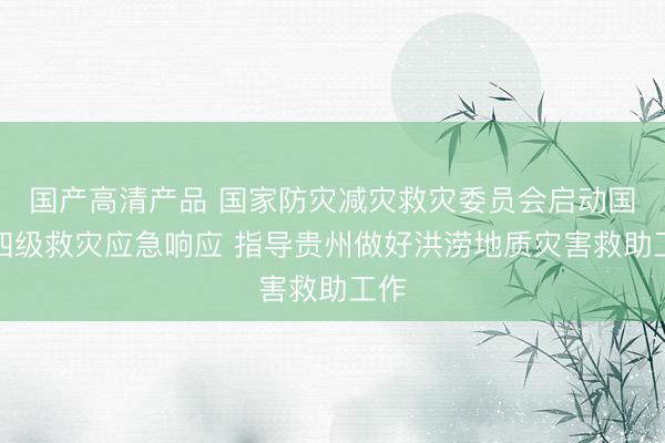 国产高清产品 国家防灾减灾救灾委员会启动国家四级救灾应急响应 指导贵州做好洪涝地质灾害救助工作