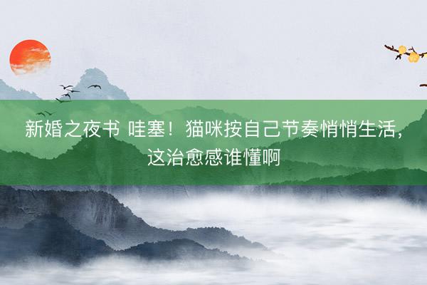 新婚之夜书 哇塞！猫咪按自己节奏悄悄生活，这治愈感谁懂啊