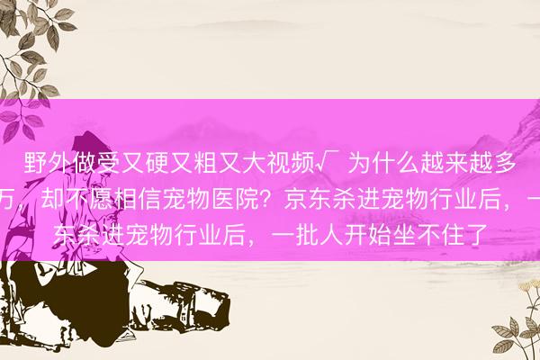 野外做受又硬又粗又大视频√ 为什么越来越多人宁愿给猫狗花上万,却不愿相信宠物医院?京东杀进宠物行业后,一批人开始坐不住了
