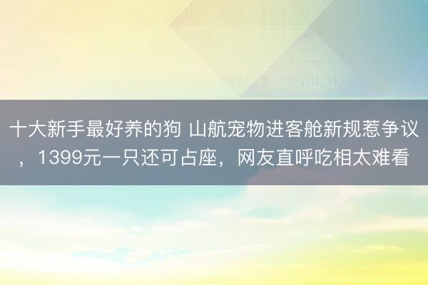 十大新手最好养的狗 山航宠物进客舱新规惹争议,1399元一只还可占座,网友直呼吃相太难看
