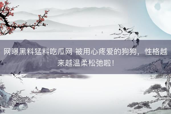 网曝黑料猛料吃瓜网 被用心疼爱的狗狗，性格越来越温柔松弛啦！