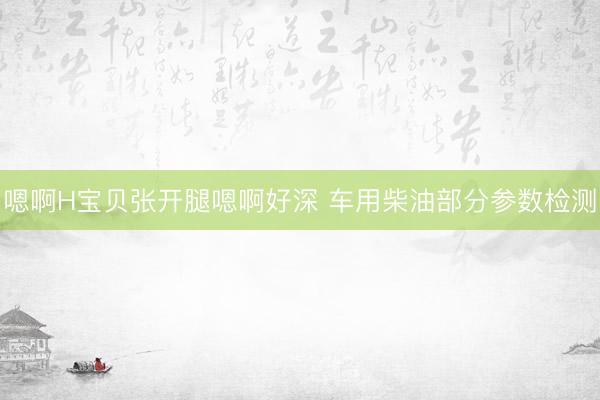 嗯啊H宝贝张开腿嗯啊好深 车用柴油部分参数检测