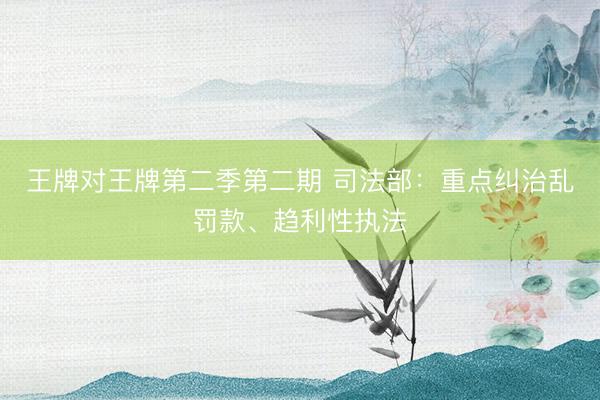 王牌对王牌第二季第二期 司法部：重点纠治乱罚款、趋利性执法