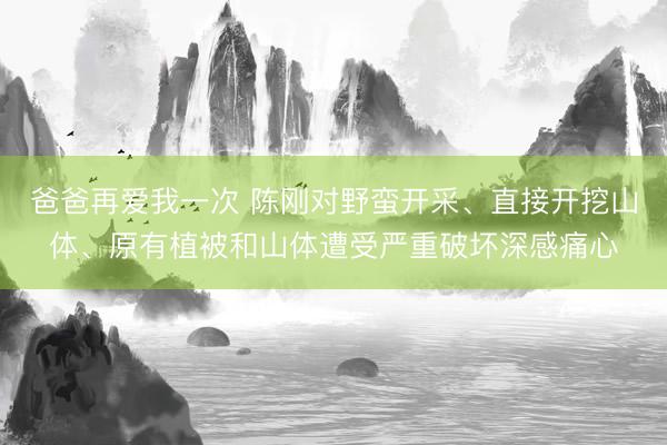 爸爸再爱我一次 陈刚对野蛮开采、直接开挖山体、原有植被和山体遭受严重破坏深感痛心