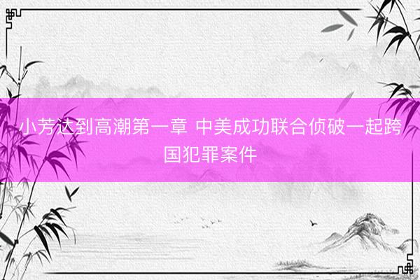 小芳达到高潮第一章 中美成功联合侦破一起跨国犯罪案件