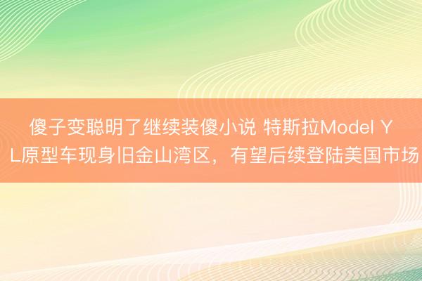 傻子变聪明了继续装傻小说 特斯拉Model Y L原型车现身旧金山湾区，有望后续登陆美国市场