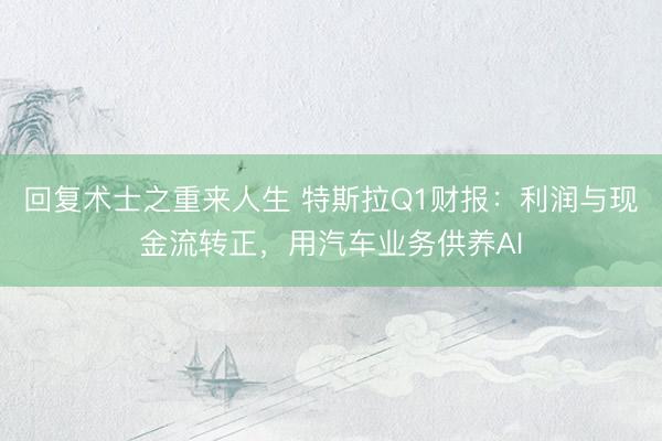 回复术士之重来人生 特斯拉Q1财报:利润与现金流转正,用汽车业务供养AI