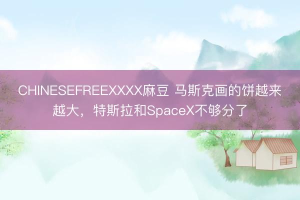 CHINESEFREEXXXX麻豆 马斯克画的饼越来越大，特斯拉和SpaceX不够分了