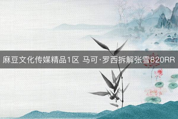麻豆文化传媒精品1区 马可·罗西拆解张雪820RR