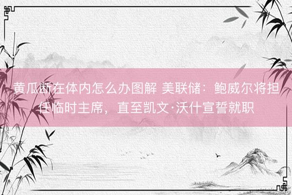黄瓜断在体内怎么办图解 美联储：鲍威尔将担任临时主席，直至凯文·沃什宣誓就职