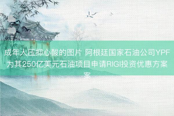 成年人压抑心酸的图片 阿根廷国家石油公司YPF为其250亿美元石油项目申请RIGI投资优惠方案