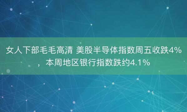 女人下部毛毛高清 美股半导体指数周五收跌4%，本周地区银行指数跌约4.1%