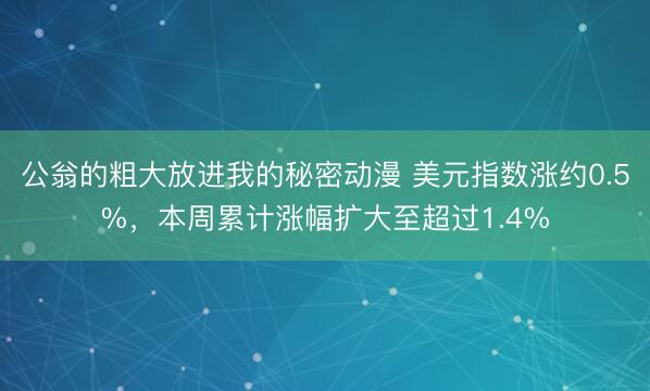 公翁的粗大放进我的秘密动漫 美元指数涨约0.5%，本周累计涨幅扩大至超过1.4%