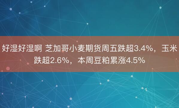好湿好湿啊 芝加哥小麦期货周五跌超3.4%，玉米跌超2.6%，本周豆粕累涨4.5%