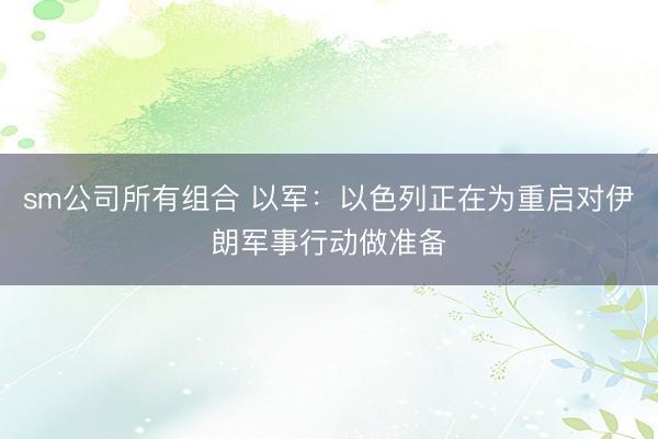 sm公司所有组合 以军：以色列正在为重启对伊朗军事行动做准备