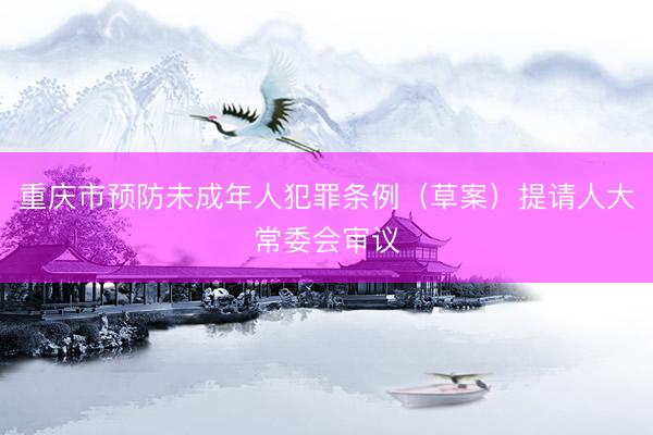 重庆市预防未成年人犯罪条例（草案）提请人大常委会审议
