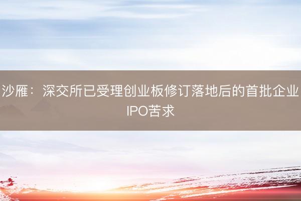 沙雁：深交所已受理创业板修订落地后的首批企业IPO苦求