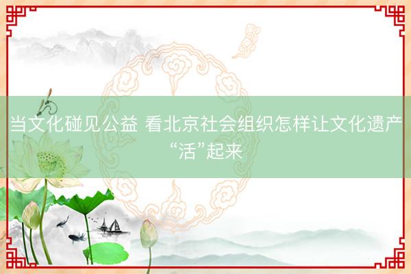 当文化碰见公益 看北京社会组织怎样让文化遗产“活”起来