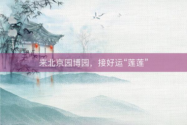 来北京园博园，接好运“莲莲”