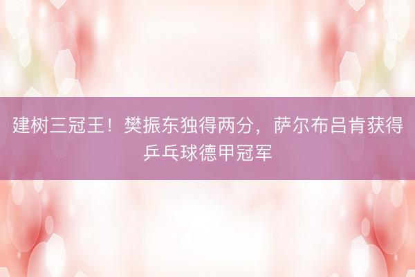 建树三冠王！樊振东独得两分，萨尔布吕肯获得乒乓球德甲冠军
