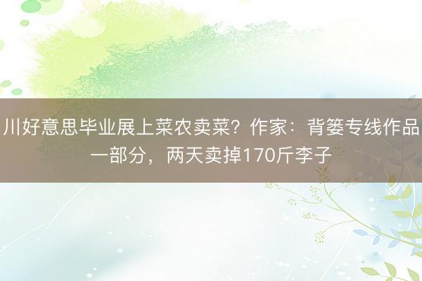 川好意思毕业展上菜农卖菜？作家：背篓专线作品一部分，两天卖掉170斤李子