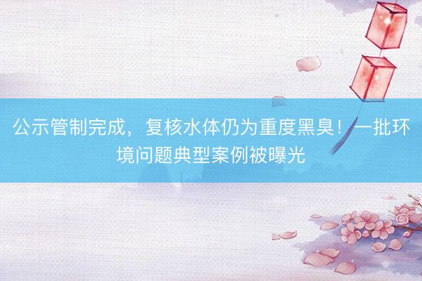 公示管制完成，复核水体仍为重度黑臭！一批环境问题典型案例被曝光