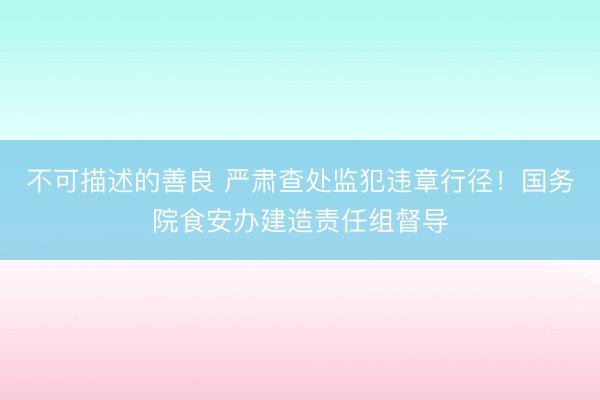 不可描述的善良 严肃查处监犯违章行径!国务院食安办建造责任组督导