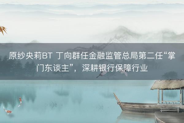 原纱央莉BT 丁向群任金融监管总局第二任“掌门东谈主”,深耕银行保障行业