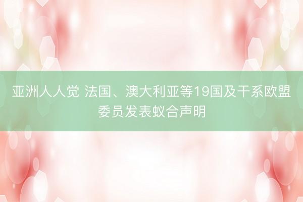 亚洲人人觉 法国、澳大利亚等19国及干系欧盟委员发表蚁合声明