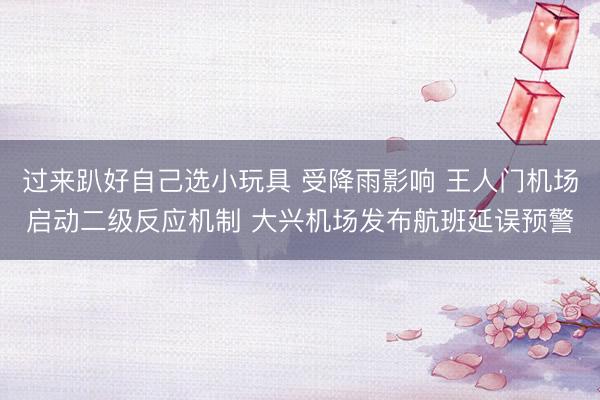 过来趴好自己选小玩具 受降雨影响 王人门机场启动二级反应机制 大兴机场发布航班延误预警