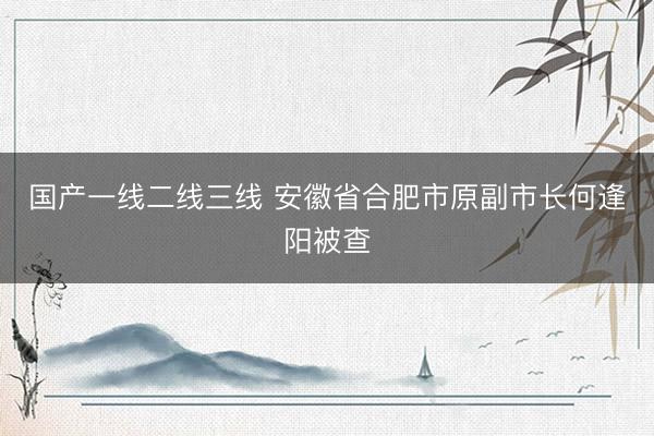国产一线二线三线 安徽省合肥市原副市长何逢阳被查