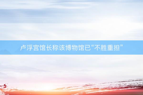 卢浮宫馆长称该博物馆已“不胜重担”