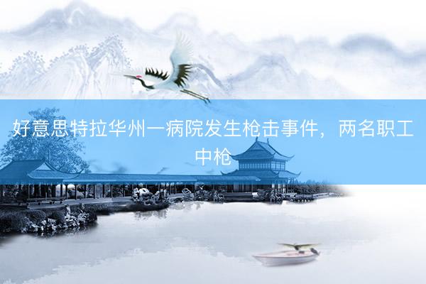 好意思特拉华州一病院发生枪击事件，两名职工中枪
