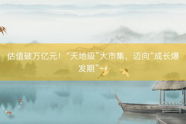 估值破万亿元！“天地级”大市集，迈向“成长爆发期”→