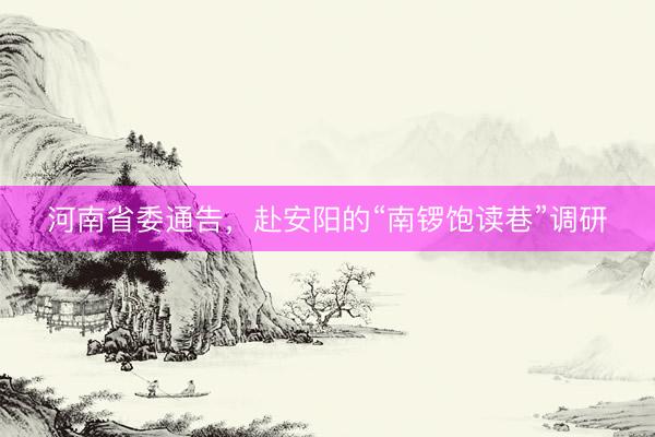 河南省委通告，赴安阳的“南锣饱读巷”调研